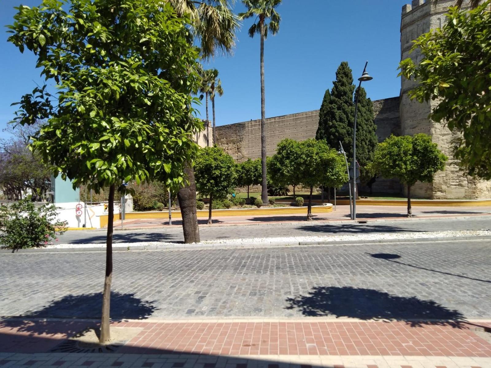 Karisma Alcazar Apartment Jerez de la Frontera Exterior photo